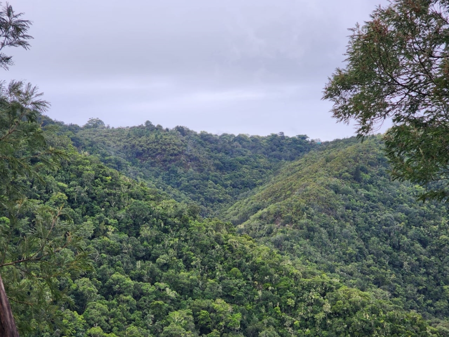 Commercial Property for Sale in Hoekwil Western Cape